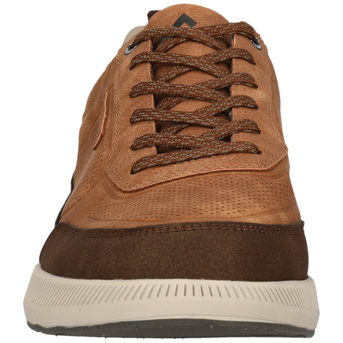 WHISTLER Alcoy M Shoe Shoes 8885 Various Brown