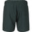 VIRTUS Andrem M Logo Board Shorts Boardshorts 3242 Dusty Forest