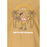 CRUZ Ankara M Printed S/S T-Shirt T-shirt 5214 Khaki