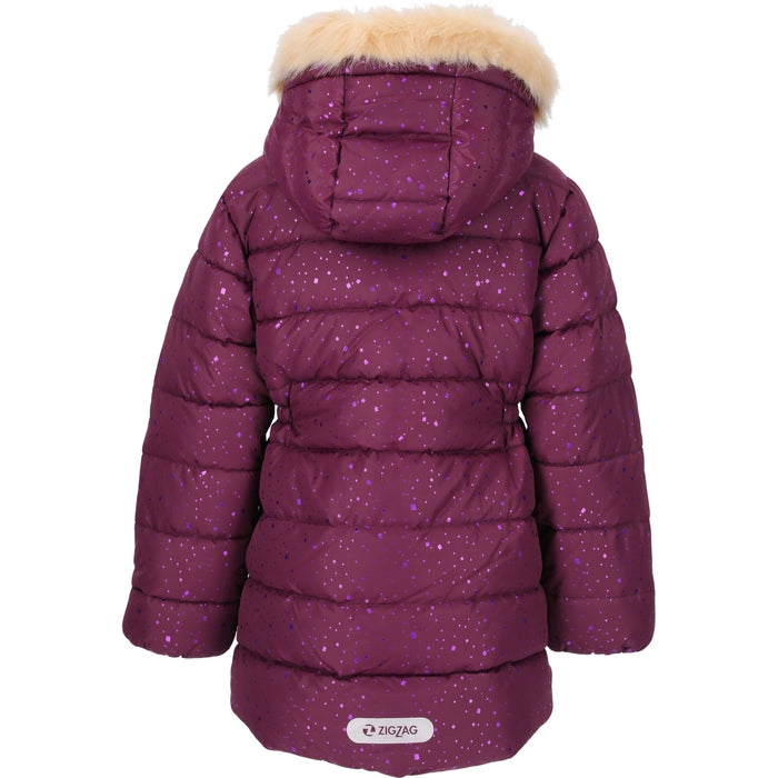 ZIGZAG Astrid Printed Pro-lite Jacket Jacket 4078 Dark Purple