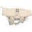 WEATHER REPORT Bronze PU Backpack Bags 1265 Island Fossil