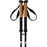 WHISTLER Delmarva Trekking Poles Accessories 1001 Black