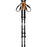 WHISTLER Delmarva Trekking Poles Accessories 1001 Black