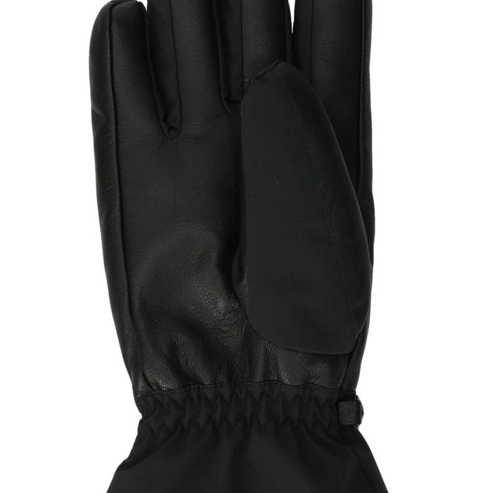 WHISTLER Drevor Leather Ski Gloves Gloves 1001 Black