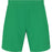 VIRTUS Dudi M Shorts Shorts 3054 Verdant Green