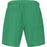 VIRTUS Dudi M Shorts Shorts 3054 Verdant Green
