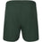 ENDURANCE Dyne M Shorts Shorts 3035 Green Gables