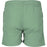 CRUZ Eyemouth M Basic Shorts V2 Boardshorts 3138 Green Bay