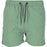 CRUZ Eyemouth M Basic Shorts V2 Boardshorts 3138 Green Bay
