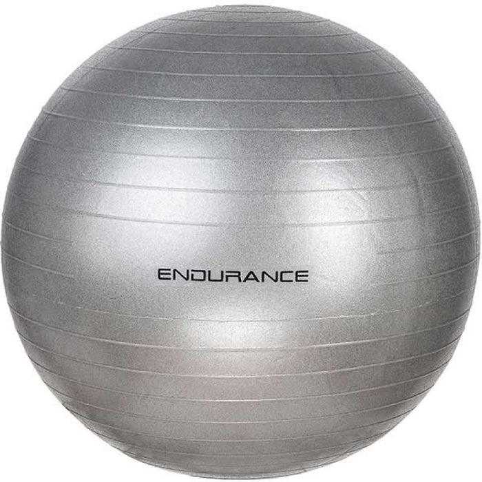 ENDURANCE Gym ball 65 CM Fitness equipment 8889 silver