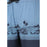 CRUZ Hector M Knee Boardshorts Boardshorts Print 3612 Blue Wave