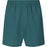 ENDURANCE Herlent Jr. Shorts Shorts 3182 Dark Sea