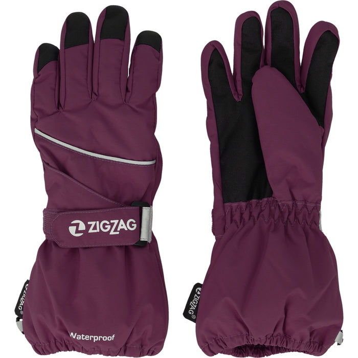 ZIGZAG Kempston Glove w/dropliner Gloves 4078 Dark Purple