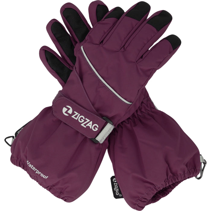ZIGZAG Kempston Glove w/dropliner Gloves 4078 Dark Purple