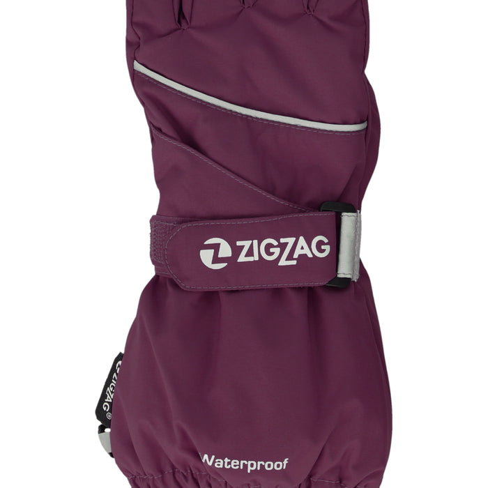 ZIGZAG Kempston Glove w/dropliner Gloves 4078 Dark Purple