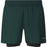 SPORT Kros M 2-in-1 Shorts Shorts 3278 Forest River