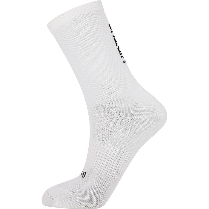 VIRTUS Larsen Mid Cut Performance Socks 2-Pack Socks 2025 Regatta