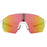 ENDURANCE Mathieu Frameless Sports Glass Accessories 8882 Various Pink