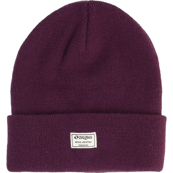 ZIGZAG Rizzo Hat Hoods 4078 Dark Purple