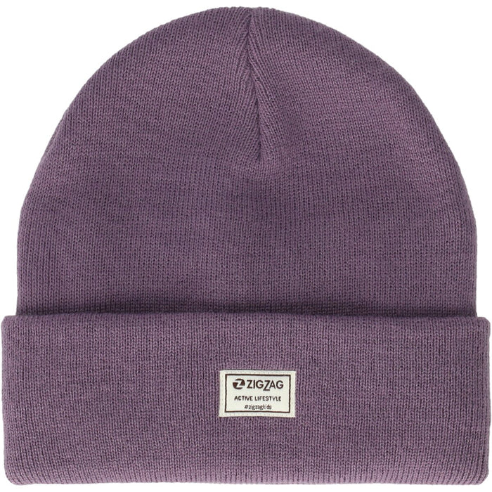 ZIGZAG Rizzo Hat Hoods 4411 Grape Compote