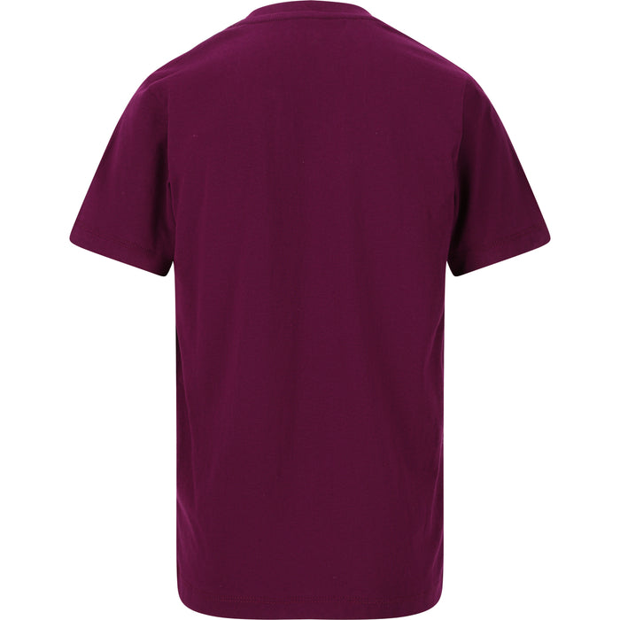 ZIGZAG Roban SS T-Shirt T-shirt 4078 Dark Purple
