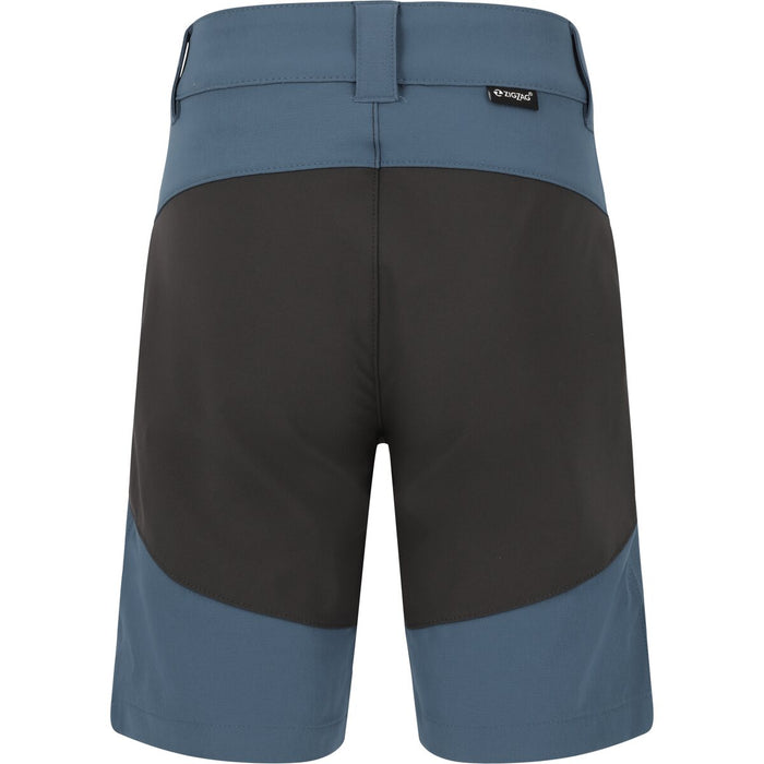 ZIGZAG Scorpio Outdoor Shorts Shorts 2253 China Blue