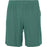 ENDURANCE Sesto Jr. Shorts Shorts 3159 Sea Pine