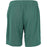 ENDURANCE Sesto Jr. Shorts Shorts 3159 Sea Pine