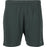 ENDURANCE Sesto M Shorts Shorts 3242 Dusty Forest