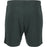 ENDURANCE Sesto M Shorts Shorts 3242 Dusty Forest