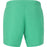VIRTUS Smither M Board Shorts Boardshorts 3246 Jade