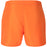 VIRTUS Smither V2 M Board Shorts Swimwear 5042 Exuberance