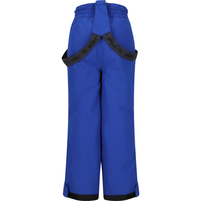 ZIGZAG Soho Ski Pant W-PRO 10000 Pants 2047 Surf the Web