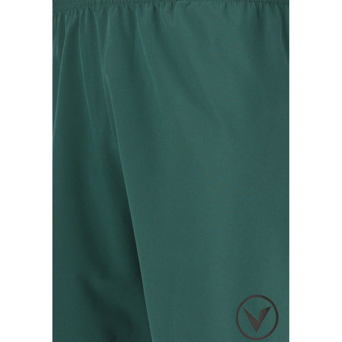 VIRTUS Spier V2 M Shorts Shorts 3200 Sea Moss