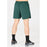 VIRTUS Spier V2 M Shorts Shorts 3200 Sea Moss
