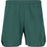 VIRTUS Spier V2 M Shorts Shorts 3200 Sea Moss