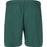 VIRTUS Spier V2 M Shorts Shorts 3200 Sea Moss