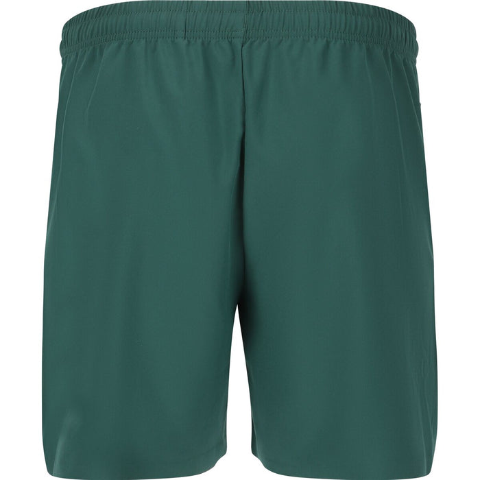 VIRTUS Spier V2 M Shorts Shorts 3200 Sea Moss