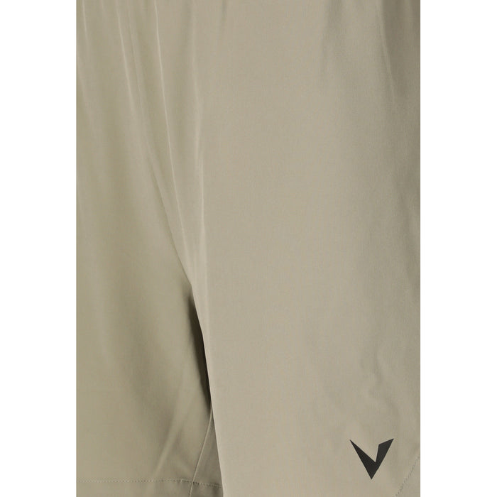 VIRTUS Spier V3 M Shorts Shorts 3250 Dried sage