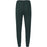 VIRTUS Taro V2 M Technical Pants Pants 3278 Forest River