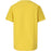 ZIGZAG Tommi SS T-Shirt T-shirt 3265 Celery