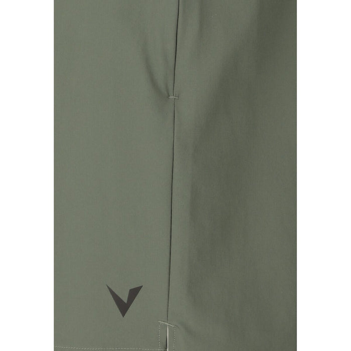 VIRTUS Washin M Shorts Shorts 3210 Pine